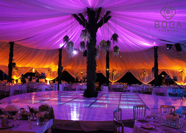 Decoración & Ambientación